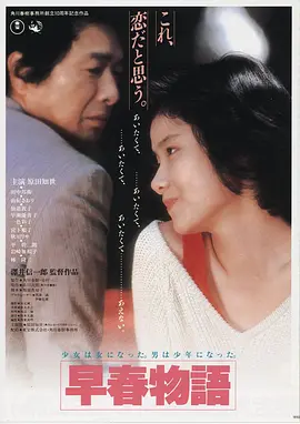 雾港谜案 高清电影手机免费在线观看